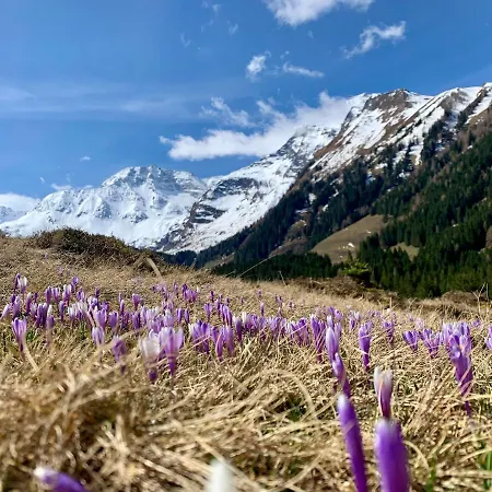 Haus Standlgut -- Incl Sommercard Rauris