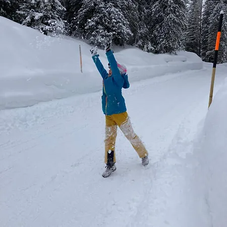 Haus Standlgut -- Incl Sommercard Apart Otel Rauris