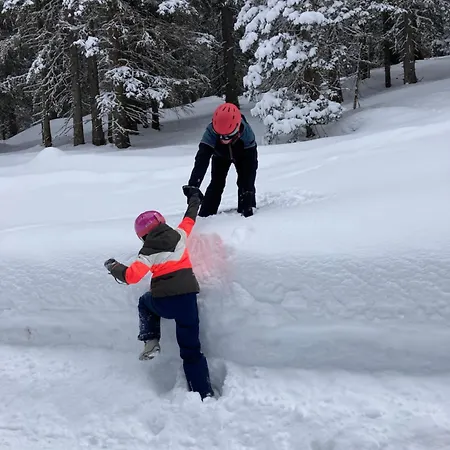 Apart Otel Haus Standlgut -- Incl Sommercard 3*