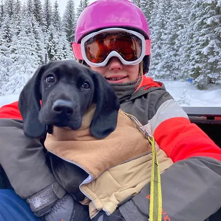 Haus Standlgut -- Incl Sommercard Apart Otel Rauris